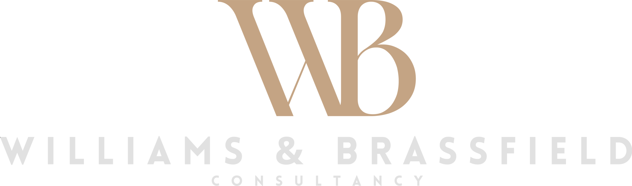 Williams-Brassfield-Consultancy_logo-1.webp